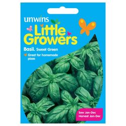 Little Growers Basil Sweet