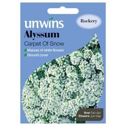 Alyssum Carpet Of Snow