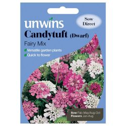 Candytuft Dwarf Fairy Mix