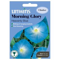 Morning Glory Heavenly Blue