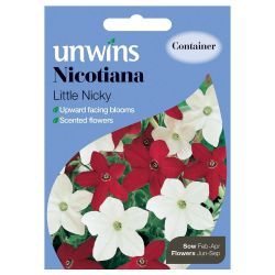 Nicotiana Little Nicky