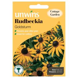 Rudbeckia Goldsturm
