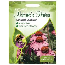 NH Echinacea Leuchstern