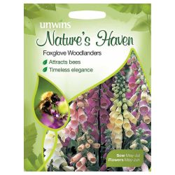 NH Foxglove Woodlanders