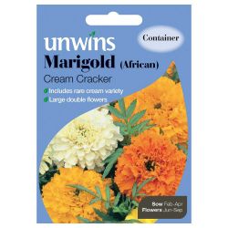 Marigold African Cream Cracker