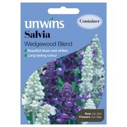 Salvia Wedgewood Blend