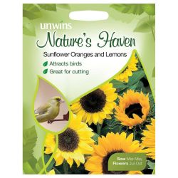 NH Sunflower Oranges And Lemons