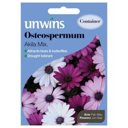 Osteospermum Akila Mix