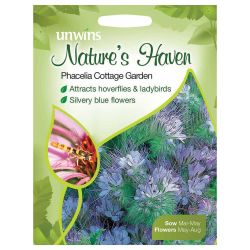 NH Phacelia Cottage Garden