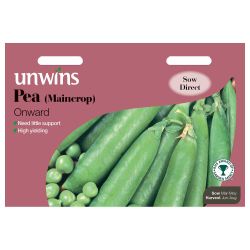 Maincrop Pea Onward