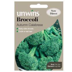 Broccoli Autumn Calabrese