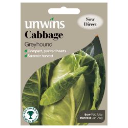 Cabbage Greyhound