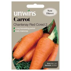 Carrot Chantenay Red Cored 2