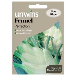 Fennel Perfection