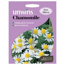 Herb Chamomile