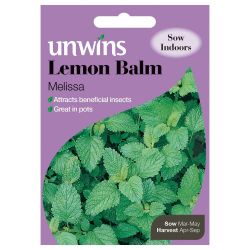 Herb Lemon Balm Melissa