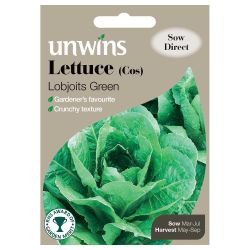 Cos Lettuce Lobjoits Green