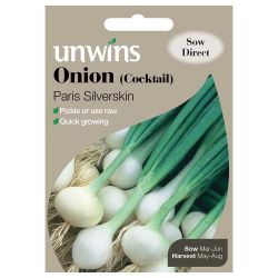 Onion Cocktail Paris Silverskin