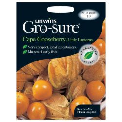 Cape Gooseberry Little Lanterns