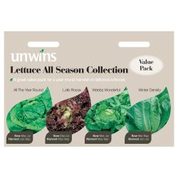 Lettuce All Season Collection