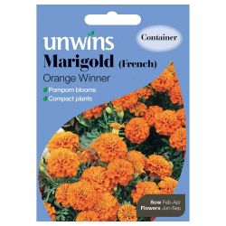 Marigold French Orange Winner
