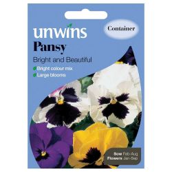 Pansy Bright and Beautiful