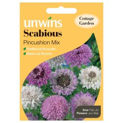 Scabious Pincushion Mix