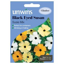 Black Eyed Susan Susie Mix