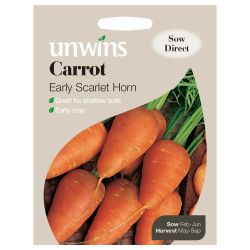 Carrot Early Scarlet Horn