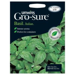 Herb Basil Italian