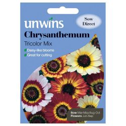 Chrysanthemum Tricolor Mix
