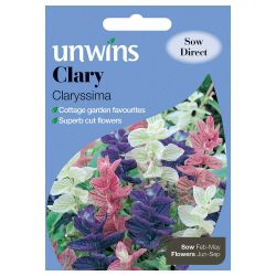 Clary Claryssima