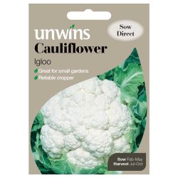 Cauliflower Igloo