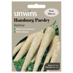 Hamburg Parsley Berliner