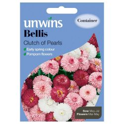 Bellis Clutch Of Pearls