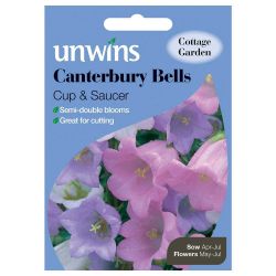 Canterbury Bells Cup And Saucer