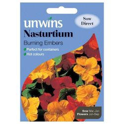 Nasturtium Burning Embers