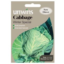 Spring Greens Cabbage Winter Special