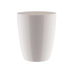 Brussels Diamond Orchid High White 12.5cm