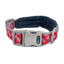 SIGNATURE PADDED DOG COLLAR RE