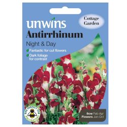 Antirrhinum Night And Day