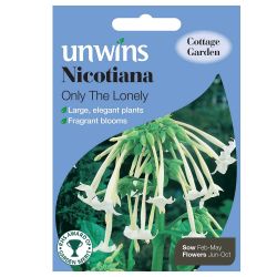 Nicotiana Sylvestris Only The Lonely