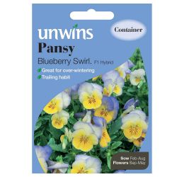 Pansy Blueberry Swirl