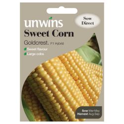 Sweet Corn Goldcrest