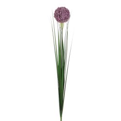 Flower Allium Lilac