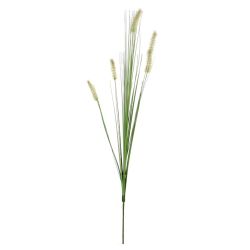Dogtail Grass Green