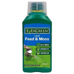 Evergreen Feed & Moss 1L