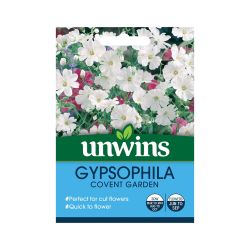 Gypsophila Covent Garden