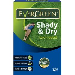 Evergreen 420g Shady Lawn Grass Seed