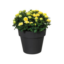 Elho Green Basics Top Planter High Lively Black 35cm